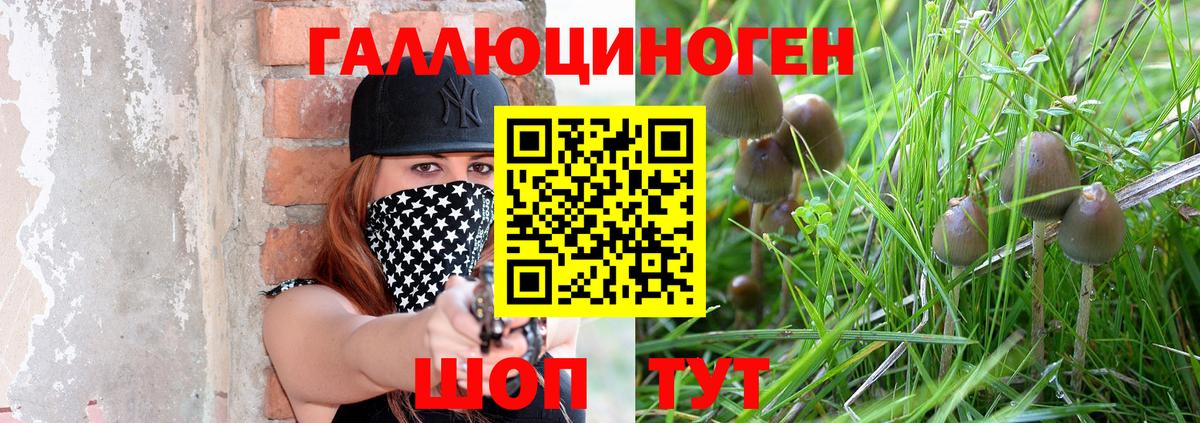 Березники  Псилоцибиновые грибы Magic Shrooms  Вход с VPN 